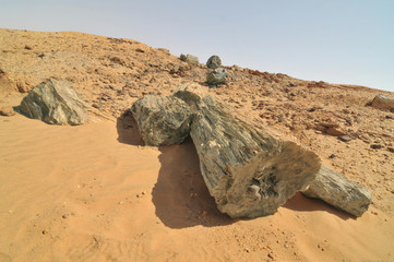 Fototapeta na wymiar Petrified Forest near El Kurru, Sudan 