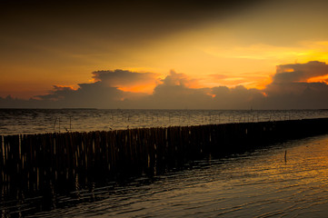Obraz premium seagulls flying on the beach sunset.