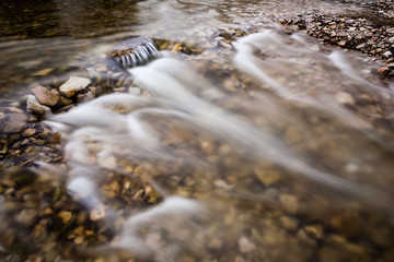 mountain river in summer surrounded by forest