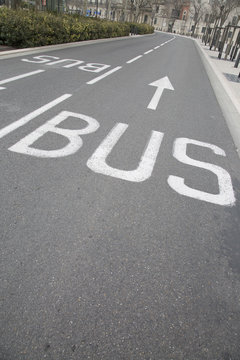 Bus Lane Arrow
