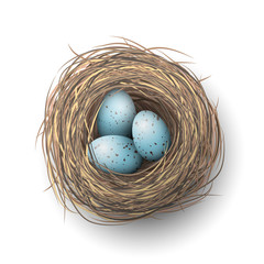 Nest with blue eggs on white background, illustration