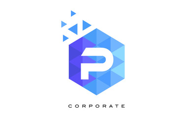 P Blue Hexagonal Letter Logo Design with Mosaic Pattern.