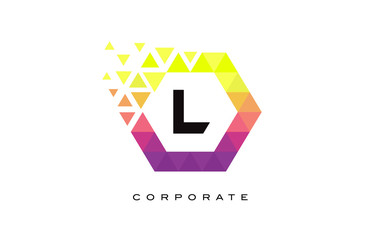 L Colorful Hexagon Shaped Letter Logo Design.
