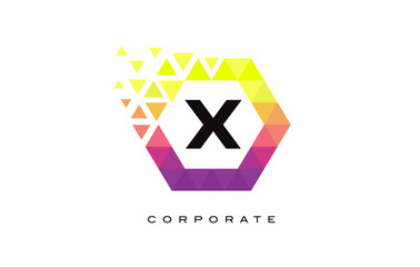 X Colorful Hexagon Shaped Letter Logo Design.