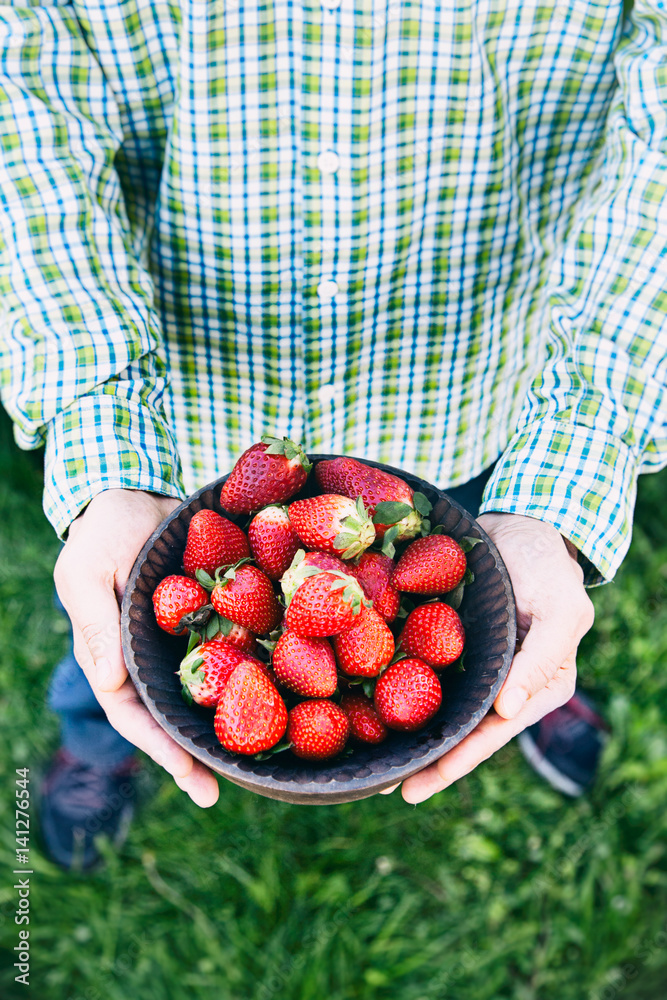 Canvas Prints fresh strawberries and farmer