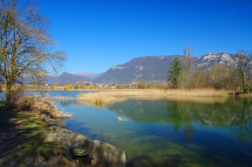 Fototapeta na wymiar le lac st andré -savoie 