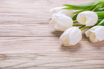 Obraz na płótnie Canvas bouquet of tulips with empty space for text