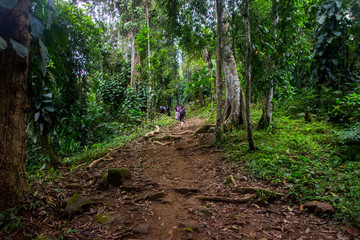 Kolumbien - Ciudad Perdida - Wandertour