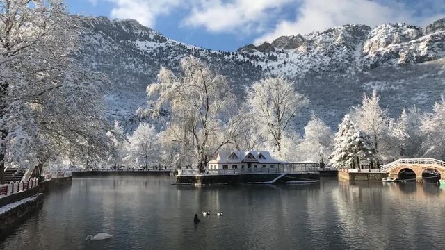 kış manzaraları & park'ta kış dokusu