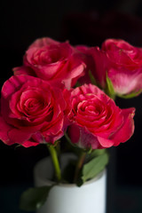 pink roses in a white vase on black background