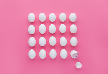 chicken escape from egg, freedom conception