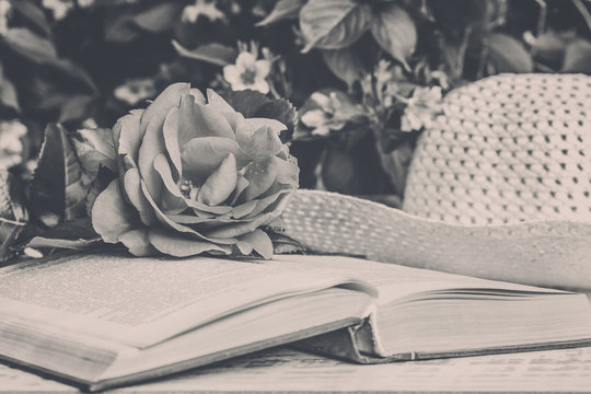  Rose, book, hat in the garden. Photo black and white