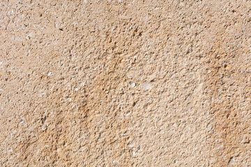 sandstone texture with fossils