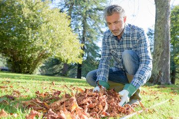 Gardener collecting dead leaves