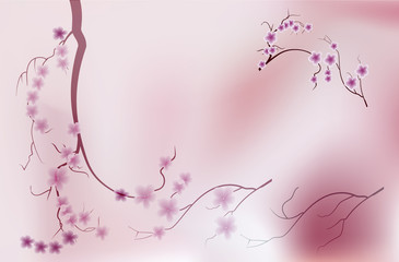 Pink cherry blossom sakura flowers in Japanese style