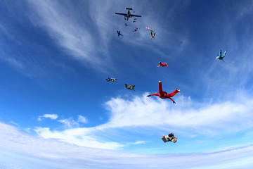 Skydivers in the sky