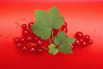 Ripe red currant berries and green leaves