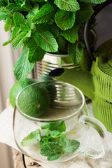 Fresh mint bunch in tin can, glass cup, pot, lime on linen cloth, preparing to brew herbal tea, top view