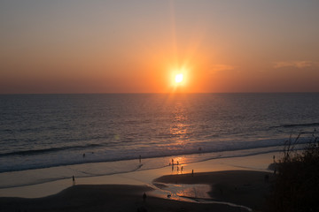 Bougainvillea and Orange Sunset above ocean Kerala