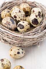 Quail eggs of birds nest. Easter composition.