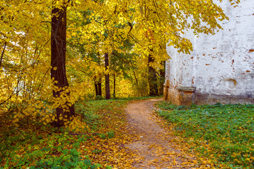 Autumn park and forest