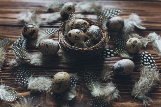 Decoration with quail eggs, nest and feathers.
