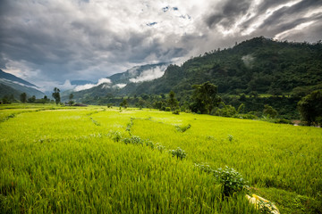 Green valley on Manaslu circuit in Himalaya mountains, Nepal