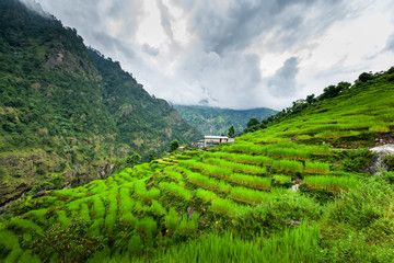 Green valley on Manaslu circuit in Himalaya mountains, Nepal
