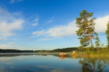 Obraz premium Pine tree by the lake at morning