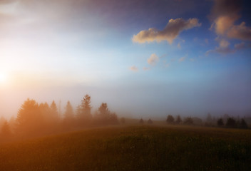 picturesque morning scene