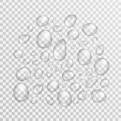 Vector isolated realistic water droplets on the transparent background.