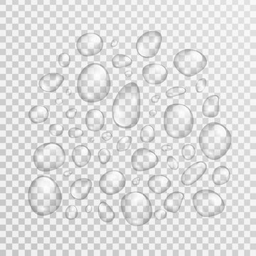Vector isolated realistic water droplets on the transparent background.
