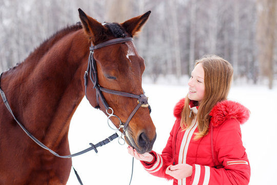 Teenage girl feeding bay horse on winter field. Friendship concept image