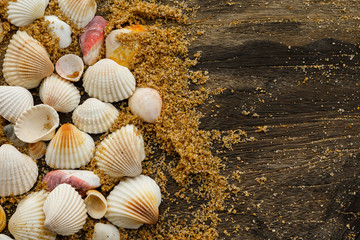 Different seashells and sand