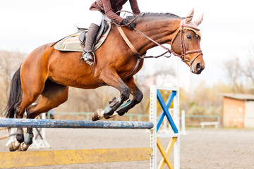 Obraz premium Sorrel horse with rider girl jump over hurdle on show jumping competition