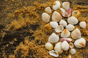 Different seashells and sand