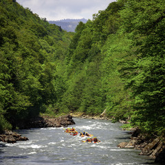 Rafting. Alloy on the mountain river