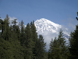 Mountain Behind the Trees