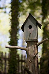 Simple, rustic bird house and unique wood tree post.