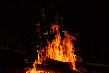 Campfire flames on a black background