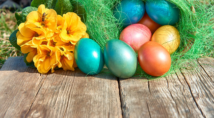 Obraz na płótnie Canvas Easter eggs in nest on old wooden background with yellow flower