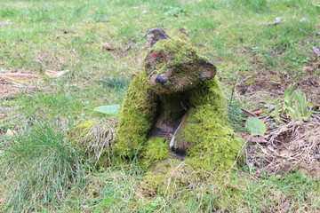 Mossy Bear
