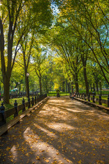 Fototapeta na wymiar Beautiful park in beautiful city..Central Park. The Mall area in Central Park at autumn., New York City, USA