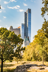Central Park in the Autumn