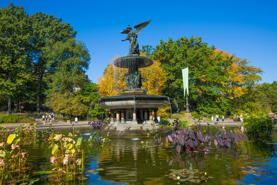  A Beautiful Autumn Day At The Angel Of The Waters Statue At Bethesda Terrace