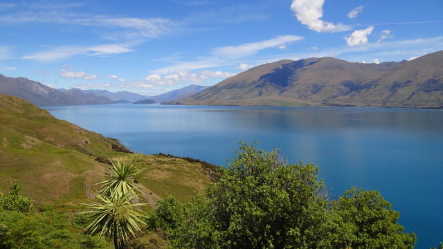 Neuseeland, Südinsel. New Zealand, Mt. Cook Region. 