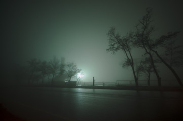Beautiful night landscape of foggy road in a dark forest after rain. Azerbaijan