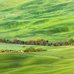 Naklejka premium Tuscany landscape during spring