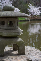 Japanese garden scene with cherry blossoms and stone sculpture. Sarah P. Duke botanical gardens. 