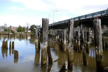 Fluss Chehalis Nahe des Elternhauses Kurt Cobains 